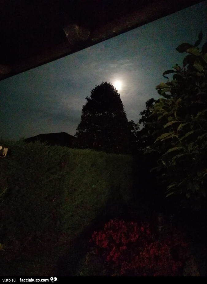 Luna in giardino