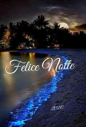 Buonanotte