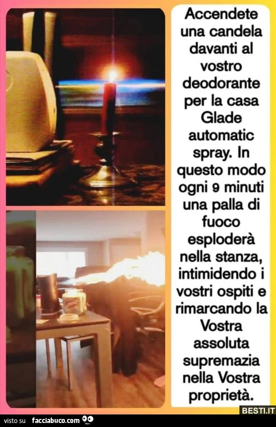 Vaccata