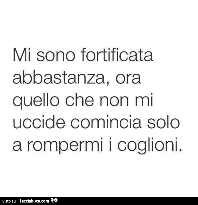 Mi sono fortificata abbastanza, ora quello che non mi uccide comincia solo a rompermi i coglioni