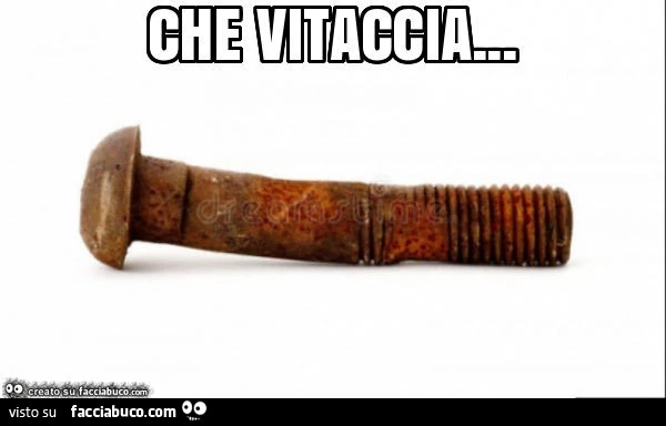 Che vitaccia