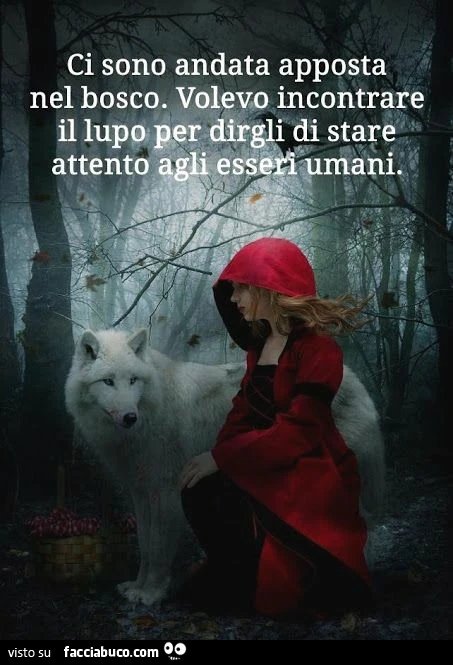 Ci sono andata apposta nel bosco, volevo incontrare il lupo per dirgli di stare attento agli esseri umani