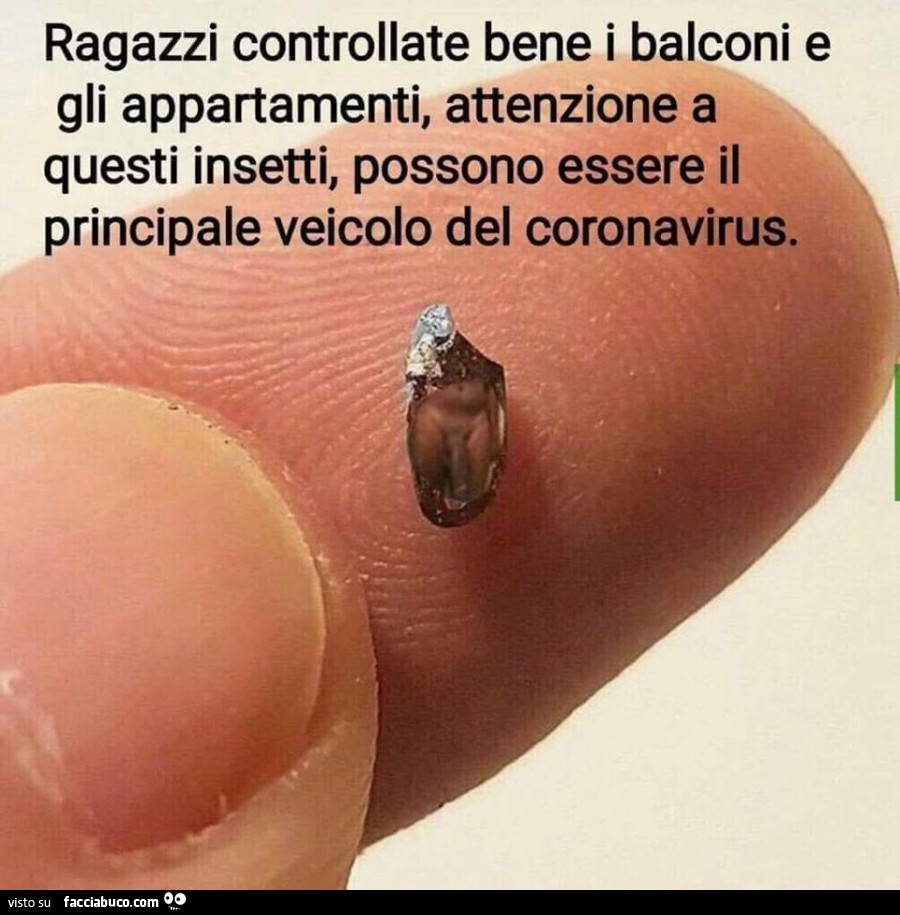 da quanti a quanti anni cresce il pene come un pene dritto
