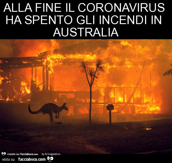 Alla fine il coronavirus ha spento gli incendi in australia