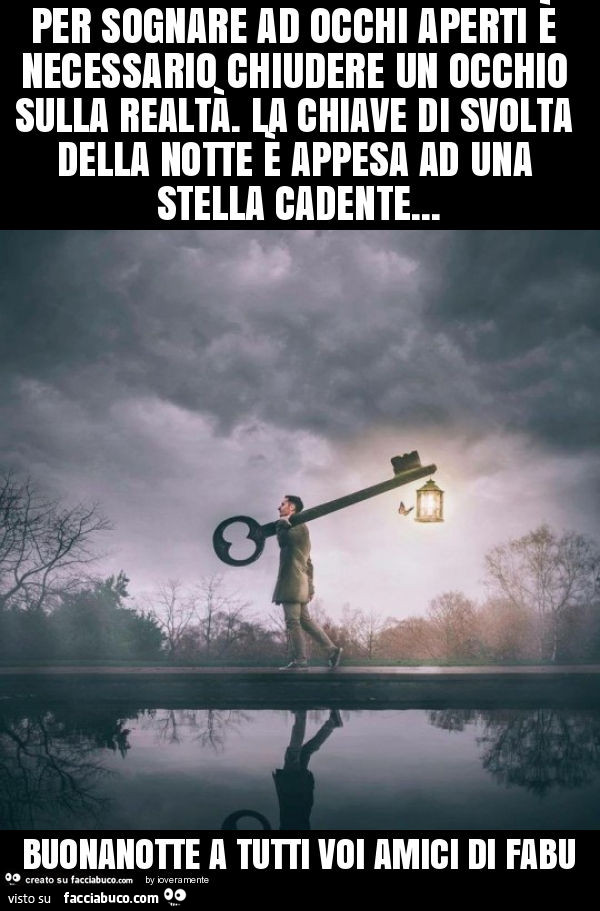 Per sognare ad occhi aperti è necessario chiudere un occhio sulla realtà. La chiave di svolta della notte è appesa ad una stella cadente… buonanotte a tutti voi amici di fabu