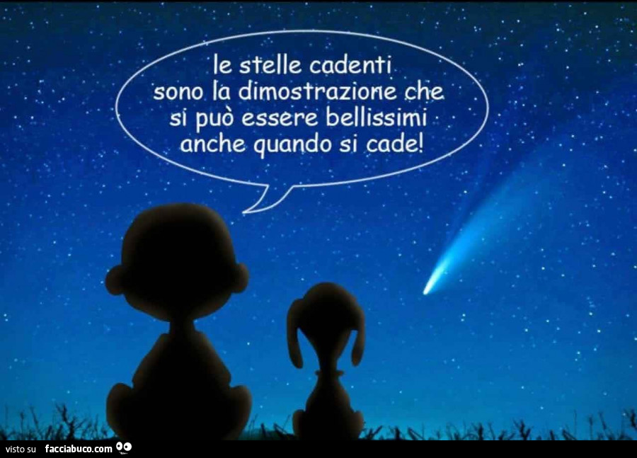 Le stelle cadenti sono la dimostrazione che si può essere bellissimi anche quando si cade