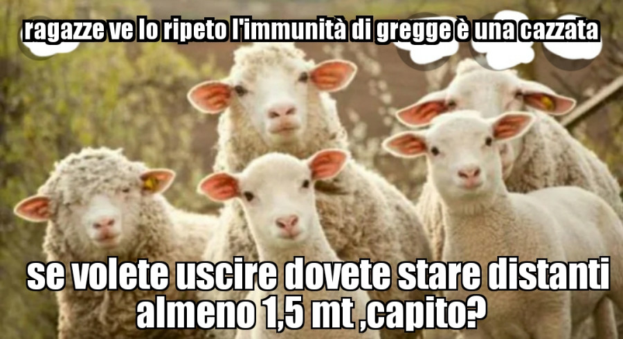 Tutti i meme su Immunità di gregge