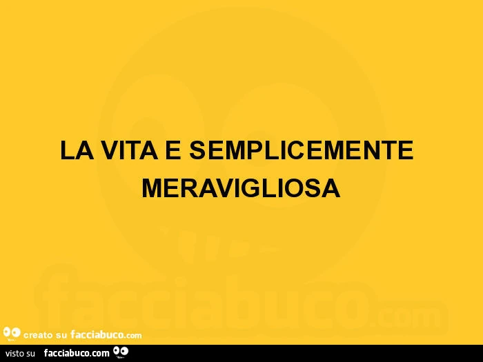 La vita e semplicemente meravigliosa