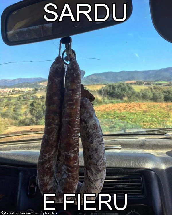 Sardu e fieru