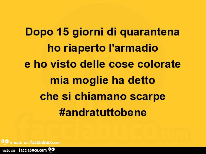 Dopo 15 giorni di quarantena ho riaperto l'armadio e ho visto delle cose colorate mia moglie ha detto che si chiamano scarpe #andratuttobene