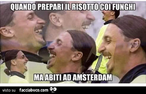 Quando prepari il risotto coi funghi ma abiti a Amsterdam