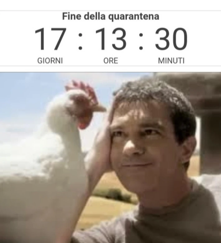 Gallo