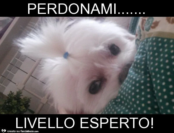Perdonami&hellip; livello esperto