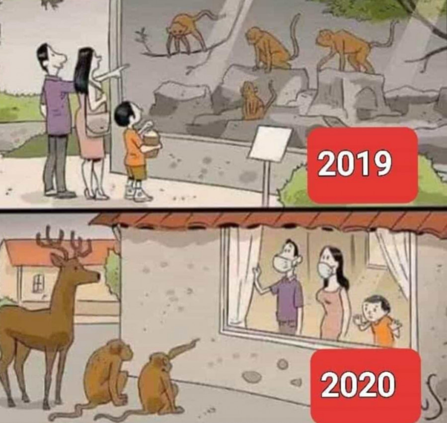 2020