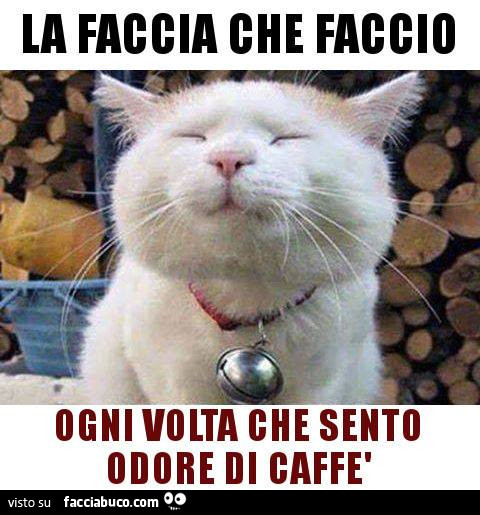 La faccia che faccio ogni volta che sento odore di caffè