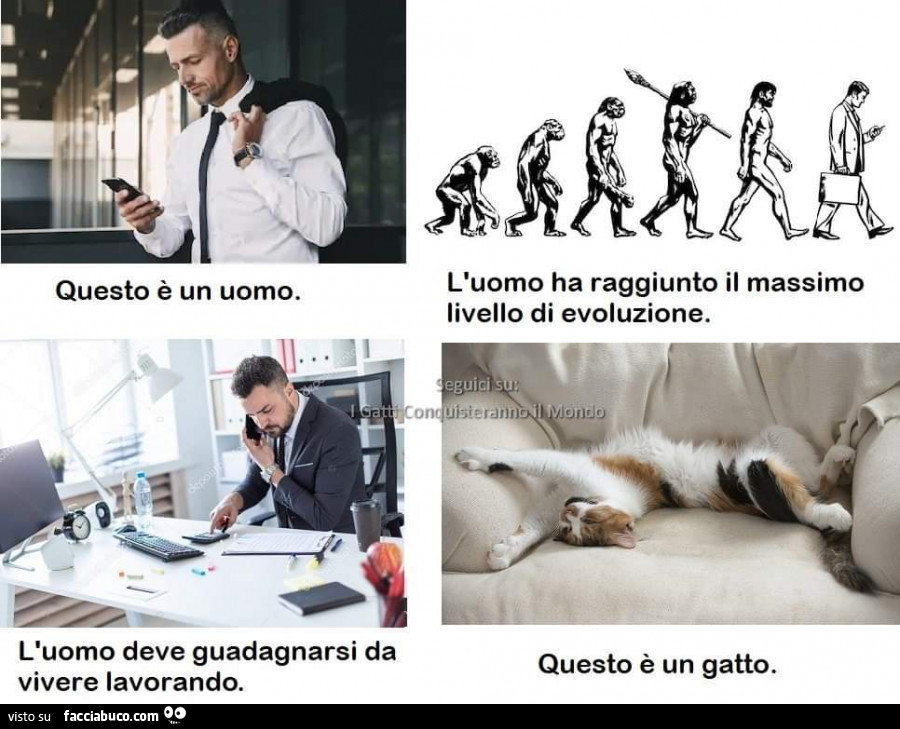 Questo è un uomo. L'uomo ha raggiunto il massimo livello di evoluzione. L'uomo deve guadagnarsi da vivere lavorando. Questo è un gatto