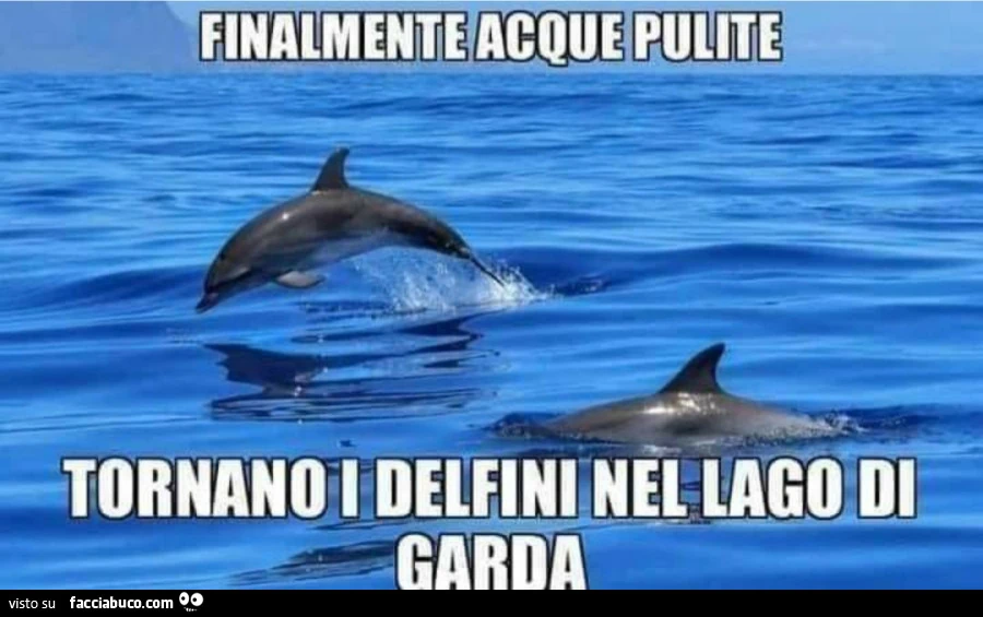 Lo spettacolo