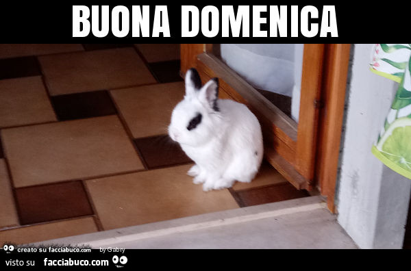 Buona domenica