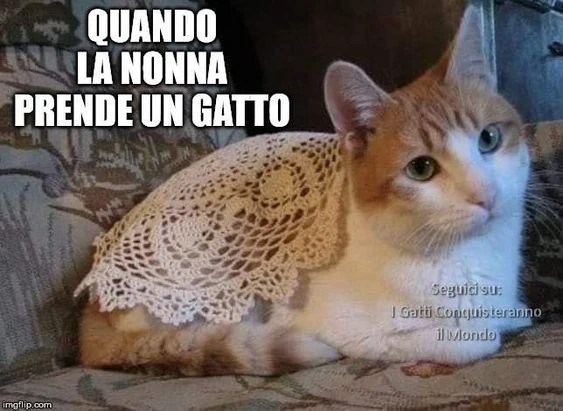 Vaccata