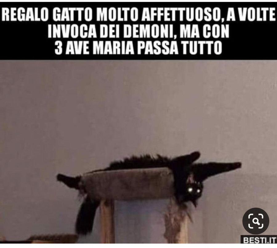 Gatto indemoniato