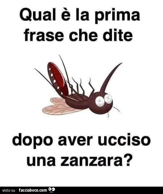 Qual è la prima frase che dite dopo aver ucciso una zanzara?