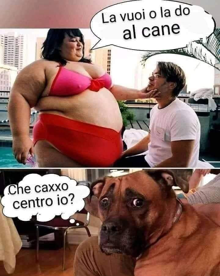 Cane preoccupato
