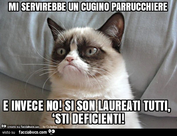 Mi servirebbe un cugino parrucchiere e invece no! Si son laureati tutti, ‘sti deficienti