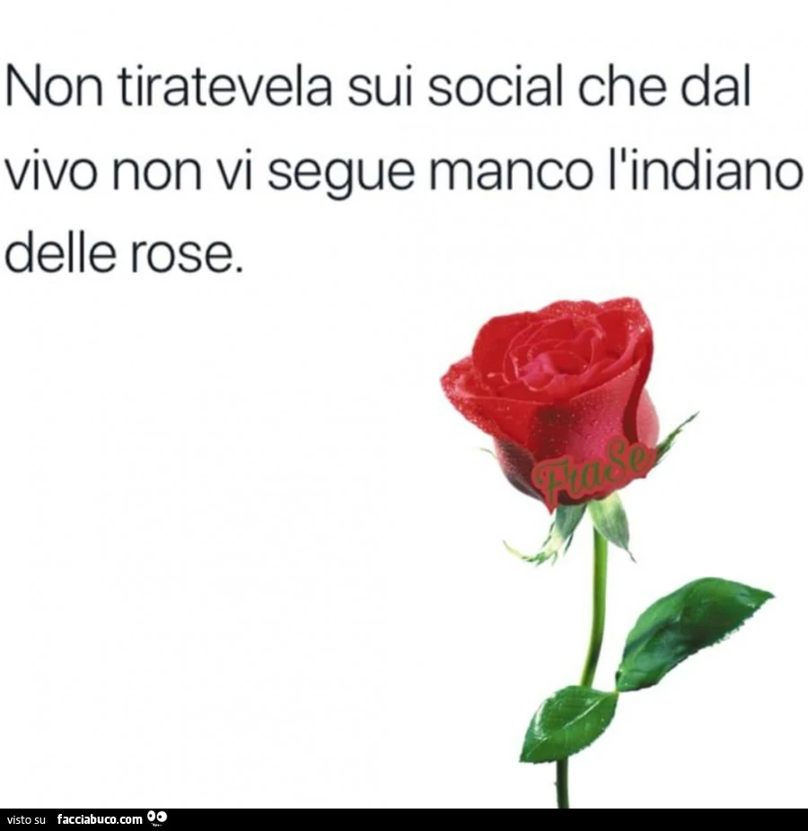 Non tiratevela sui social che dal vivo non vi segue manco l'indiano delle rose
