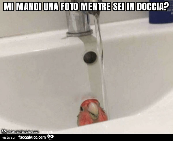 Mi mandi una foto mentre sei in doccia?