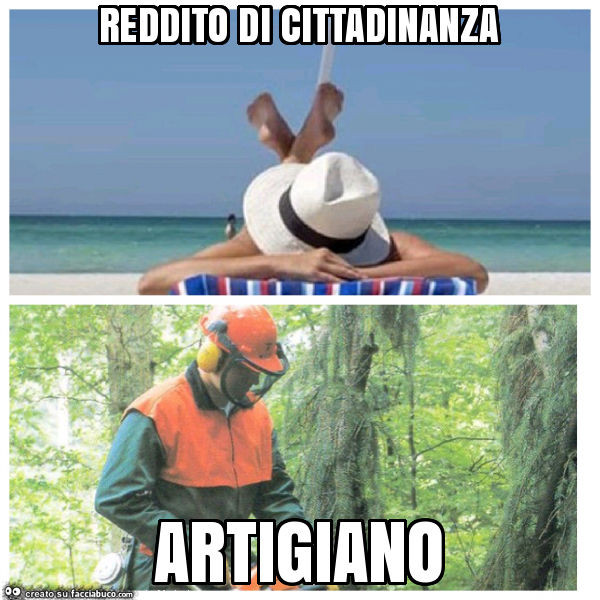 Reddito di cittadinanza artigiano