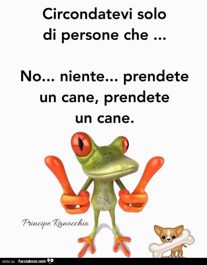 Circondatevi solo di persone che… no… niente… prendete un cane, prendete un cane