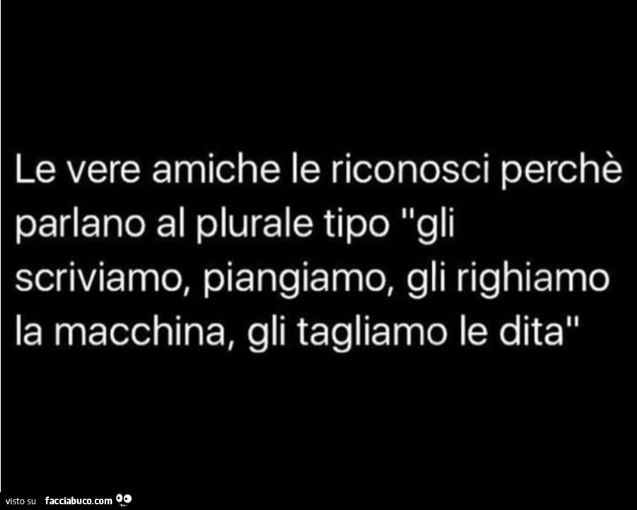 Le vere amiche le riconosci perchè parlano al plurale tipo gli scriviamo, piangiamo, gli righiamo la macchina, gli tagliamo le dita