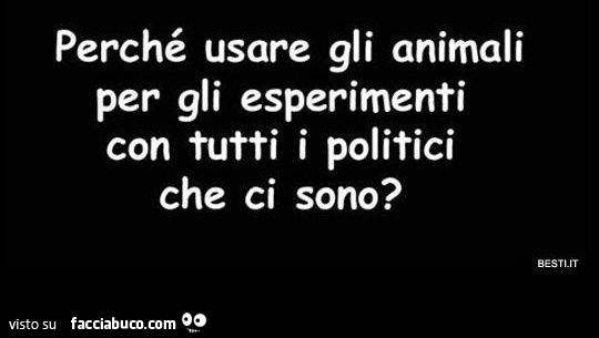 Perché usare gli animali per gli esperimenti con tutti i politici che ci sono?