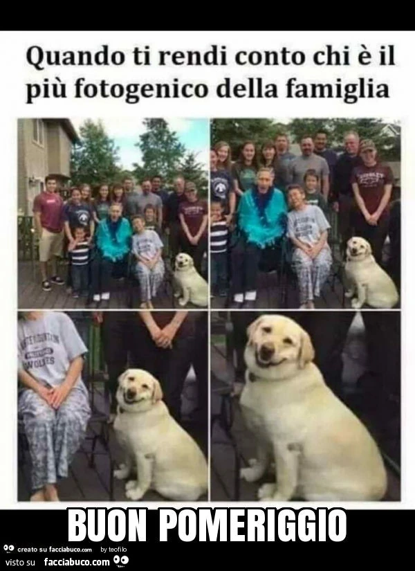 Buon pomeriggio