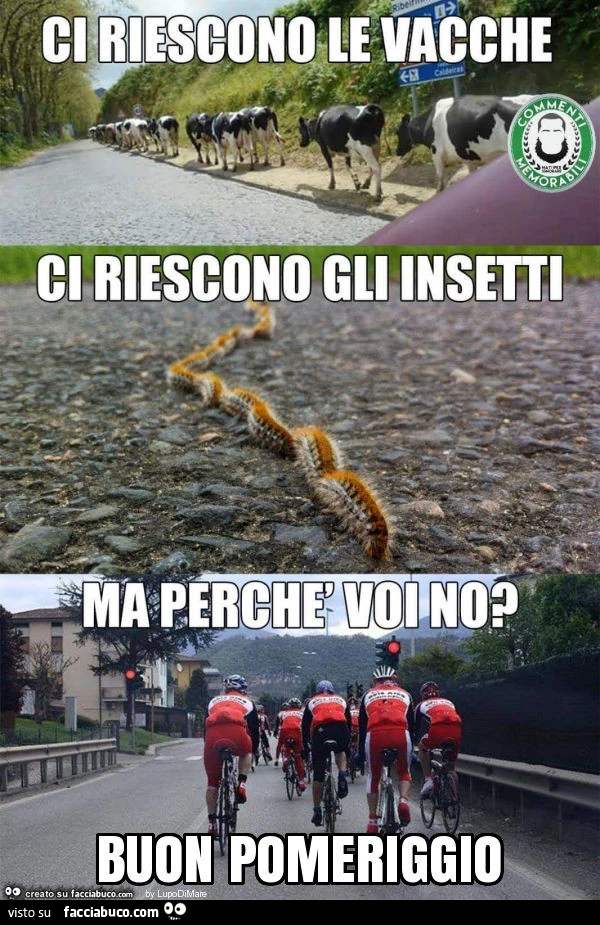 Buon pomeriggio