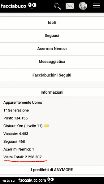 Anymore a quota 2,2 milioni di visite