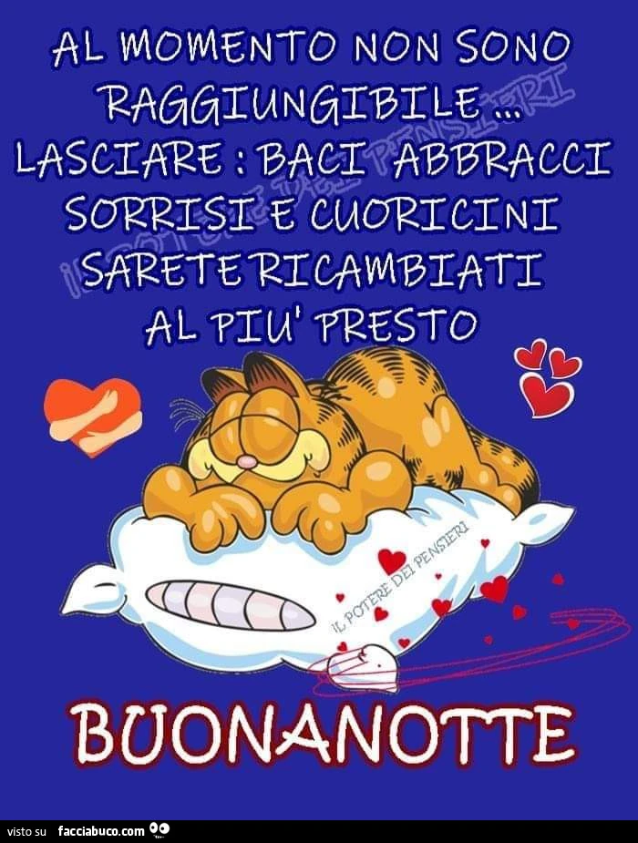 Al momento non sono raggiungibile. Buonanotte