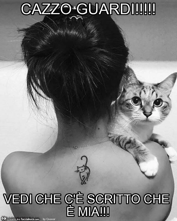 Cazzo guardi! Vedi che c'è scritto che è mia