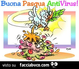 Vaccata