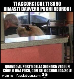 Ti accorgi che ti sono rimasti
