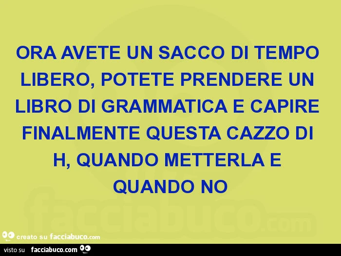 Ora avete un sacco di tempo libero, potete prendere un libro di grammatica e capire finalmente questa cazzo di h, quando metterla e quando no