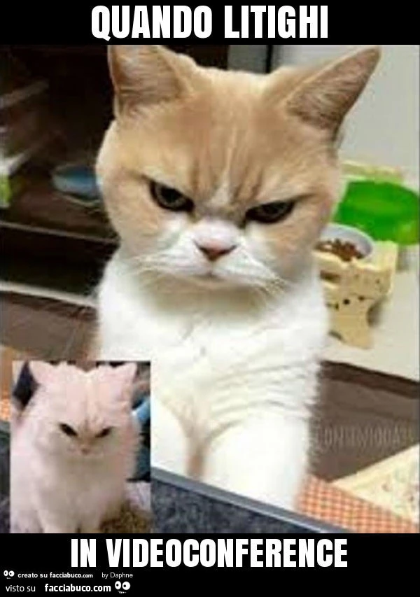 Quando litighi in videoconference