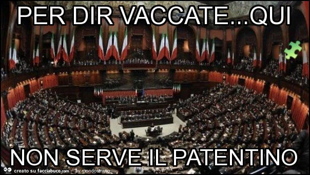Per dir vaccate&hellip; qui non serve il patentino