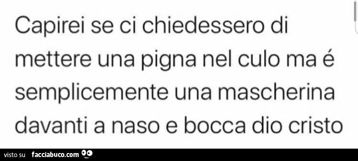 Capirei se ci chiedessero di mettere una pigna nel culo ma è semplicemente una mascherina davanti a naso e bocca dio cristo