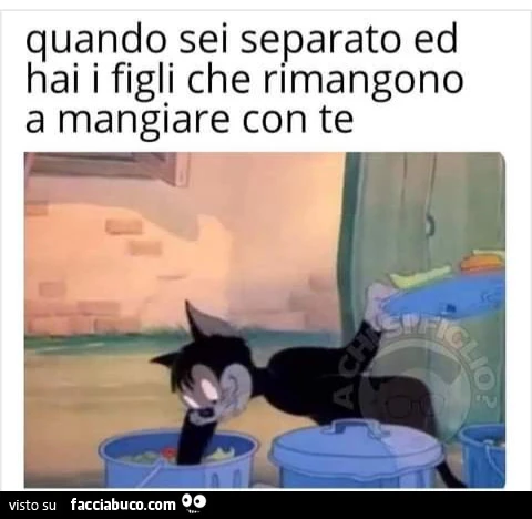 Quando sei separato ed hai i figli che rimangono a mangiare da te