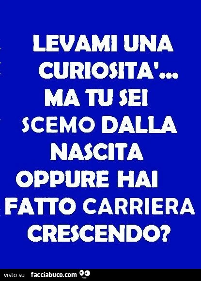 Levami una curiosità, ma tu sei scemo dalla nascita oppure hai fatto carriera crescendo?
