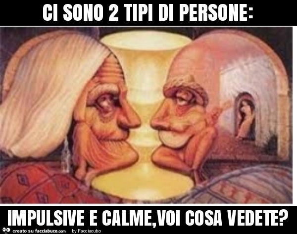 Ci sono 2 tipi di persone: impulsive e calme, voi cosa vedete?