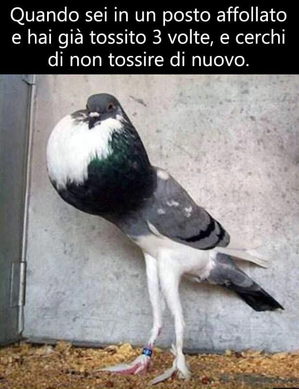 Tosse