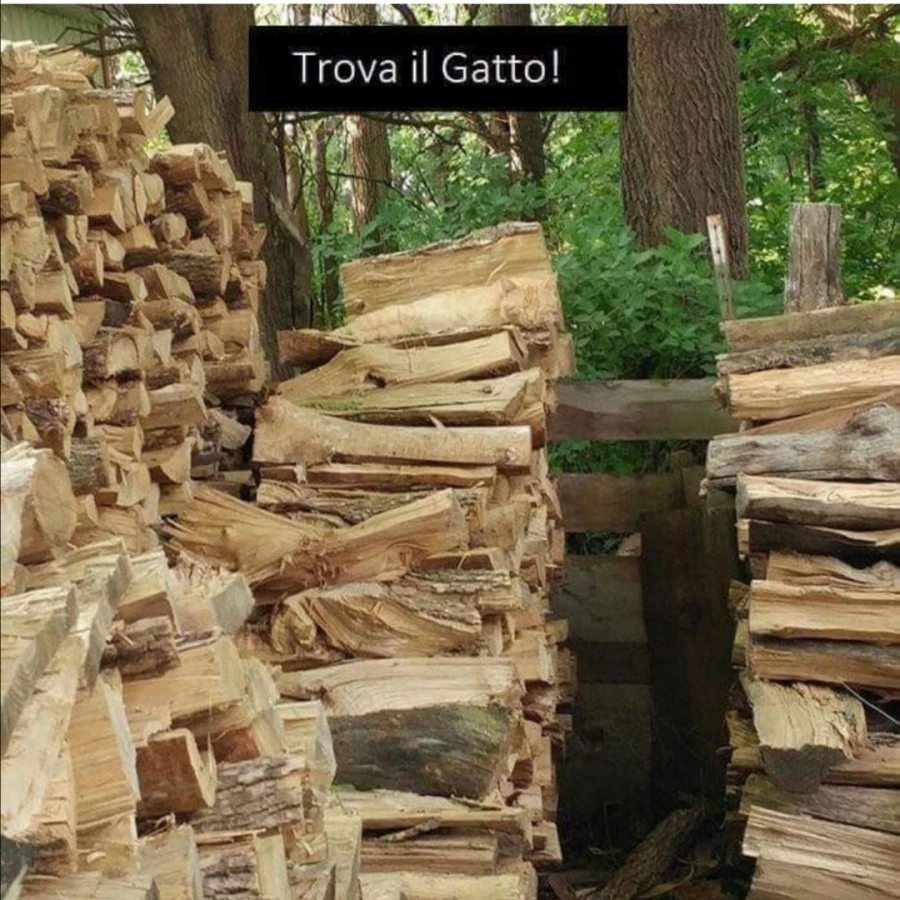 Gioco