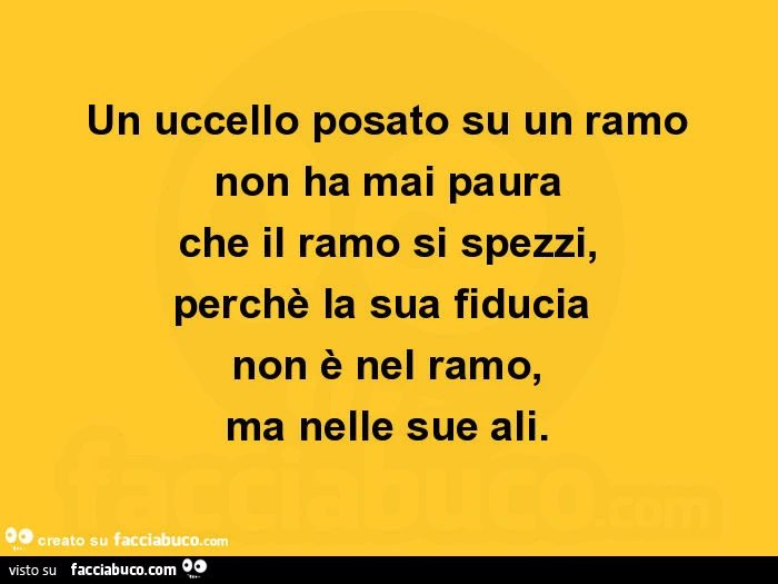 Un uccello posato su un ramo non ha mai paura che il ramo si spezzi, perchè la sua fiducia non è nel ramo, ma nelle sue ali